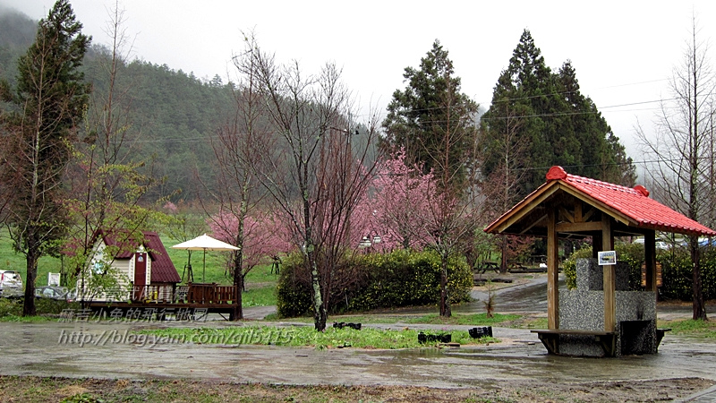 到武陵農(nóng)場(chǎng)住小木屋露營(yíng)賞櫻～可愛(ài)露營(yíng)屋 @麻吉小兔。世界行旅