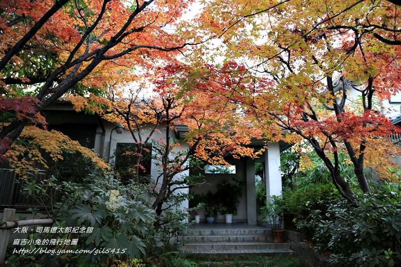 日本賞楓x關西x安藤忠雄【大阪。司馬遼太郎紀念館】 @麻吉小兔。世界行旅