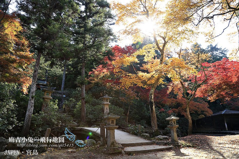 日本賞楓勝地-廣島【宮島?紅葉谷公園の紅葉】纜車 彌山 獅子巖 嚴島神社 @麻吉小兔。世界行旅