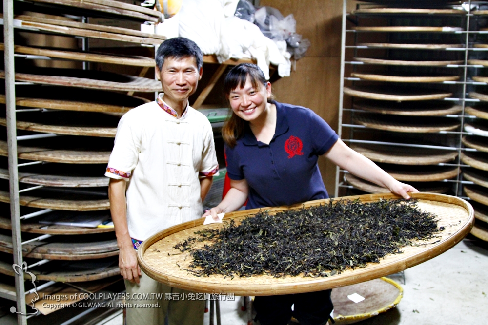 製茶方知茶甘苦~珍貴難忘【老吉子茶場】製茶體驗 @麻吉小兔。世界行旅